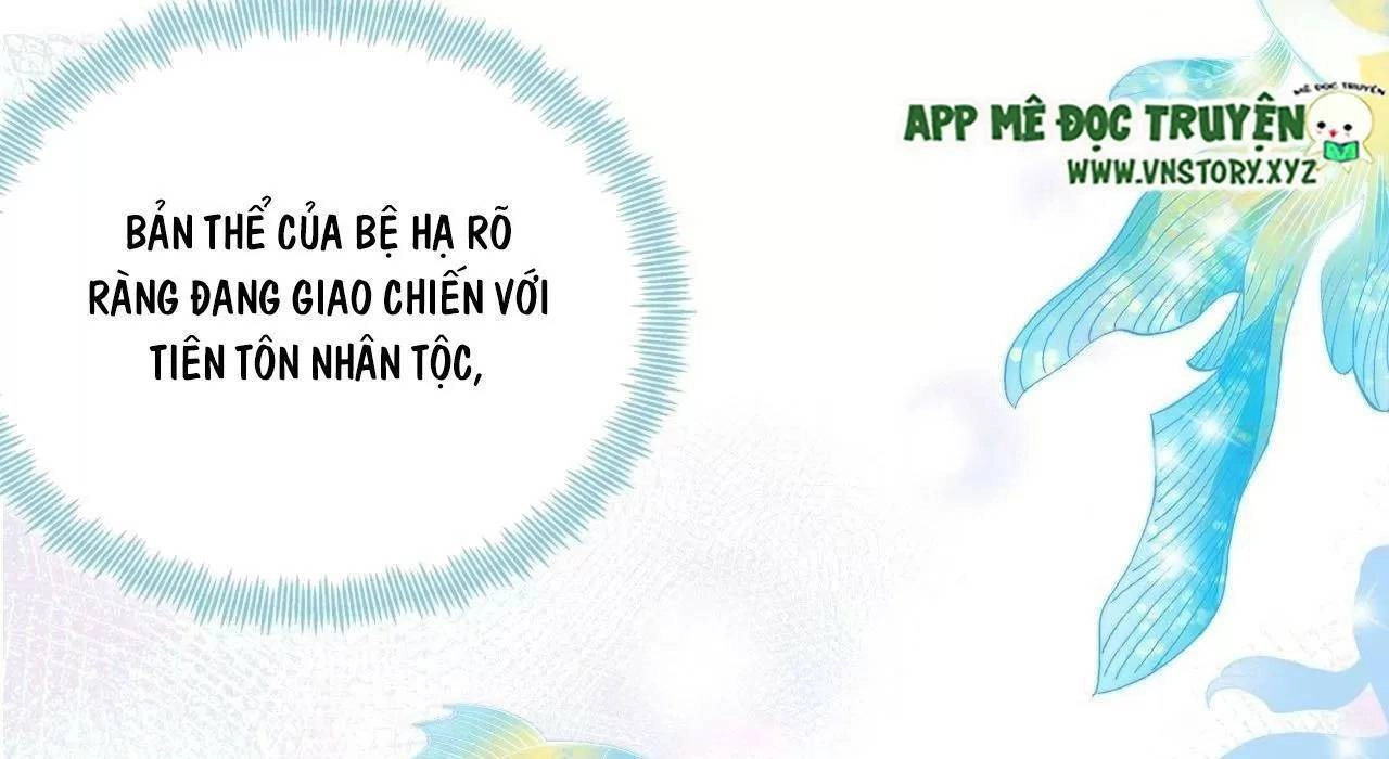 Lại Bị Bệnh Chiều Chuộng Quấn Lấy Chapter 79 - 15