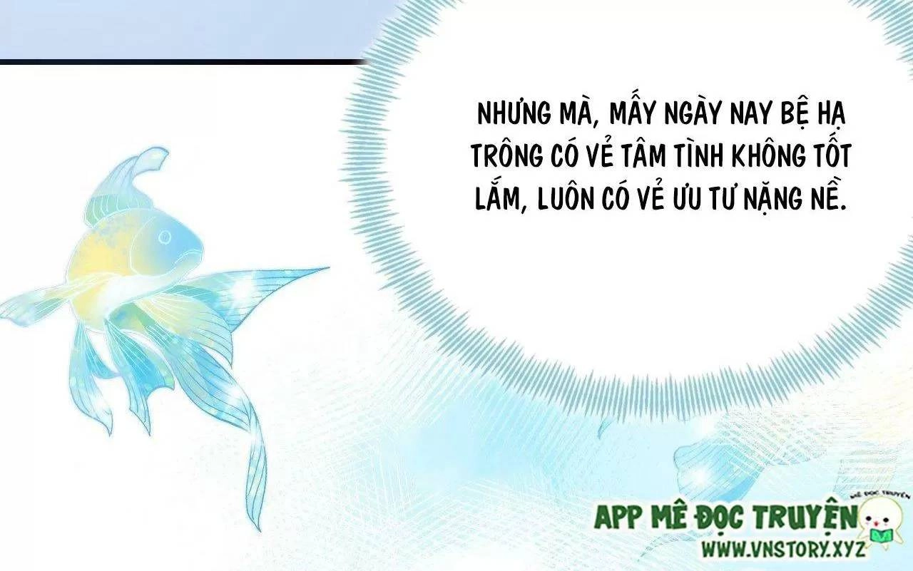 Lại Bị Bệnh Chiều Chuộng Quấn Lấy Chapter 79 - 22