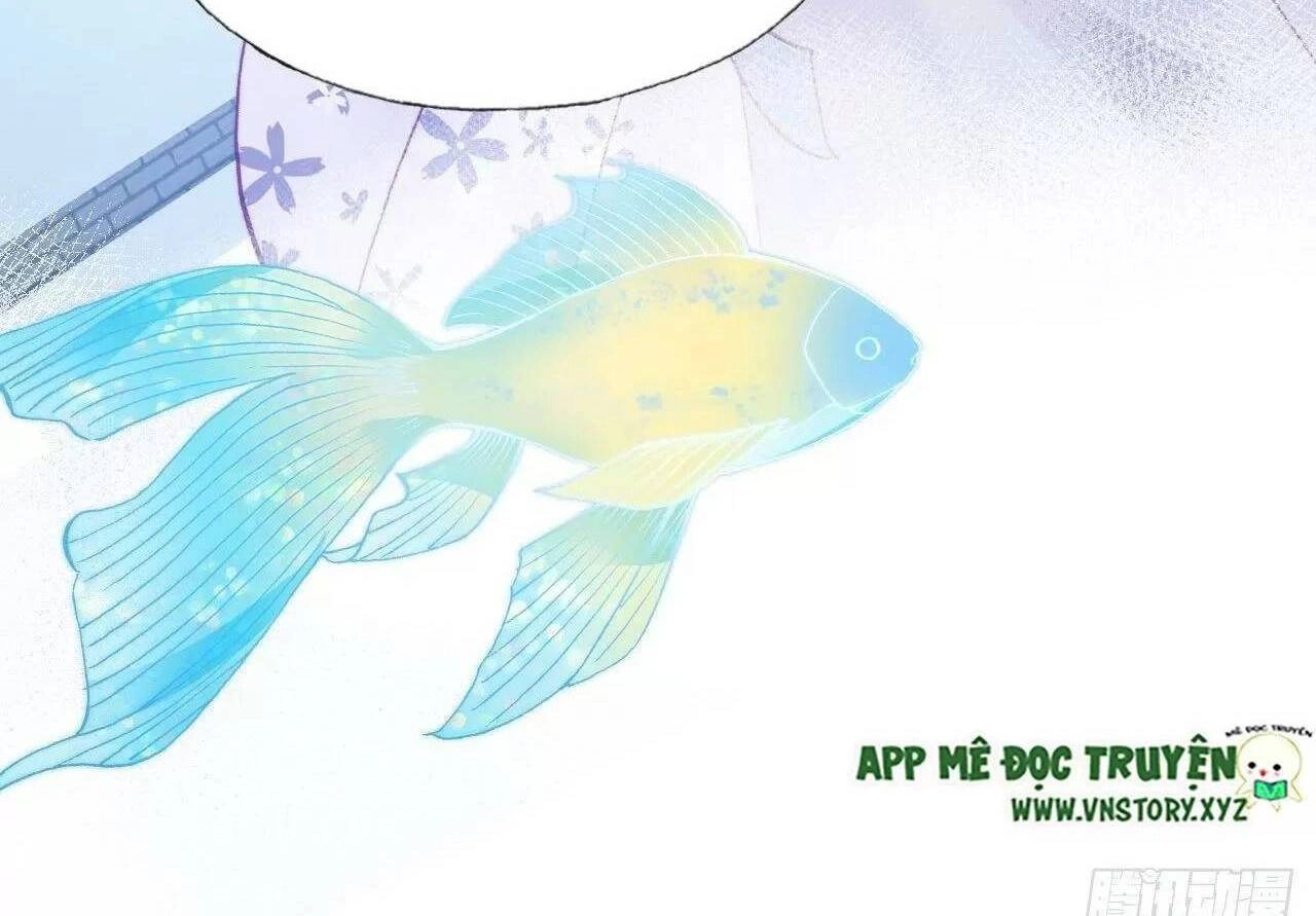 Lại Bị Bệnh Chiều Chuộng Quấn Lấy Chapter 79 - 68