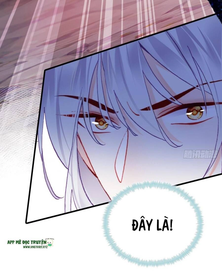 Lại Bị Bệnh Chiều Chuộng Quấn Lấy Chapter 81 - 13