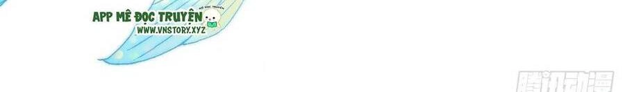 Lại Bị Bệnh Chiều Chuộng Quấn Lấy Chapter 81 - 51