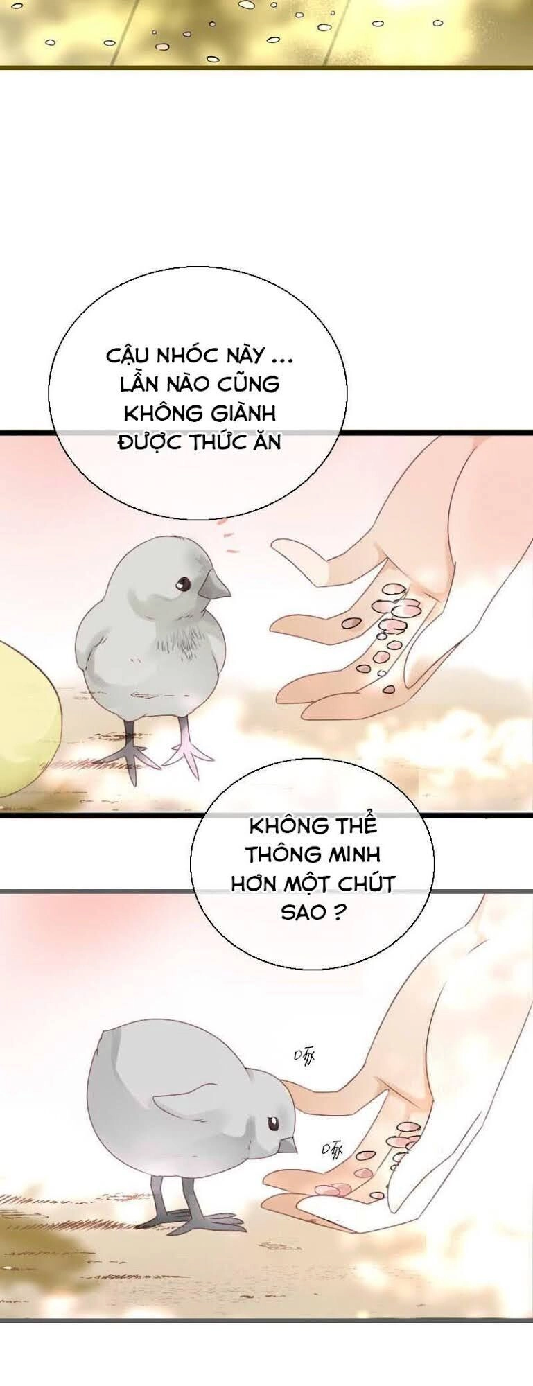 Tiểu Tân Nương Nóng Bỏng Của Nông Gia Chapter 52 - 10