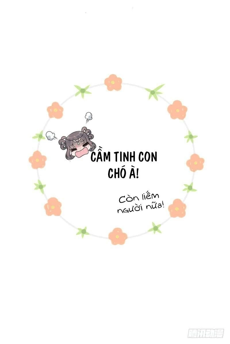 Tiểu Tân Nương Nóng Bỏng Của Nông Gia Chapter 78 - 62