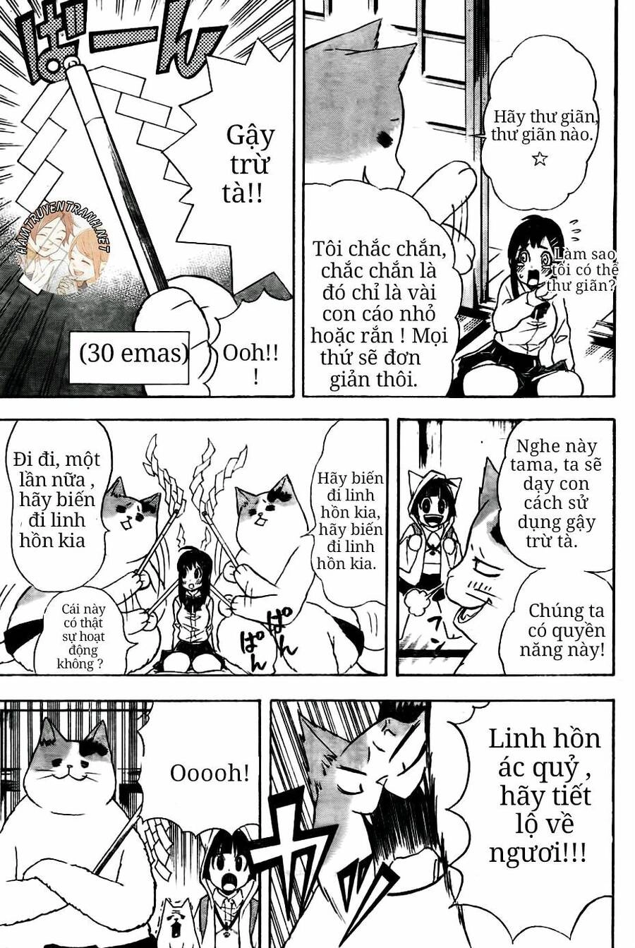 Nekowappa! Chapter 6 - 8