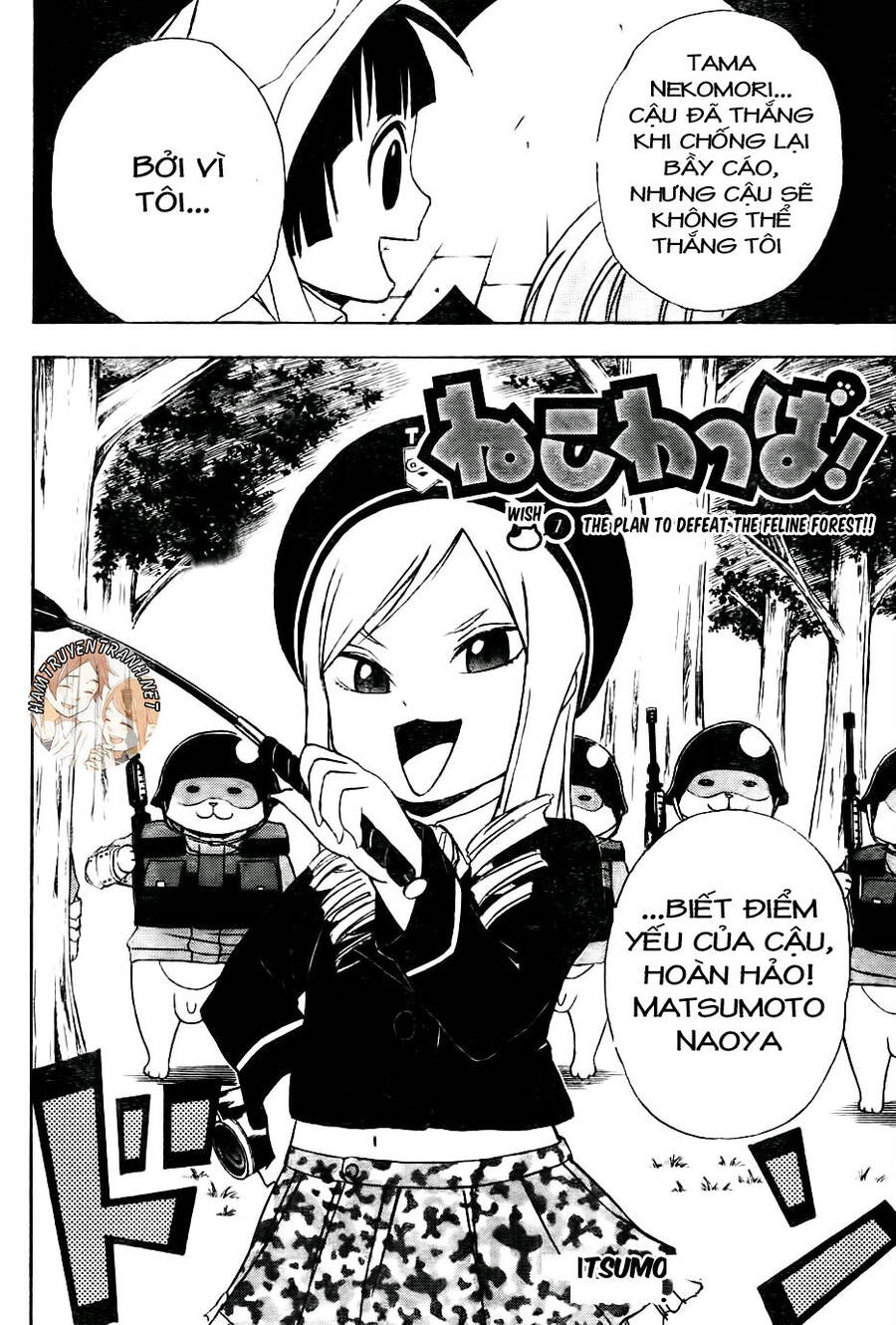 Nekowappa! Chapter 7 - 9