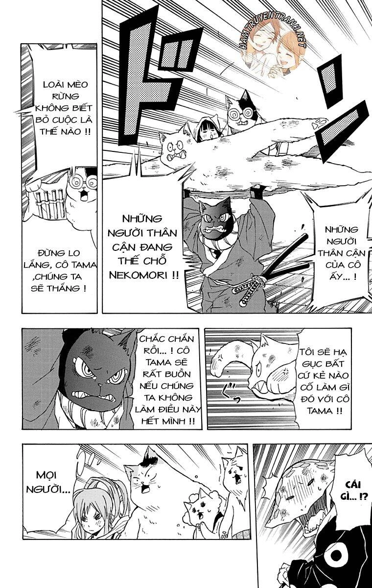 Nekowappa! Chapter 12 - 13