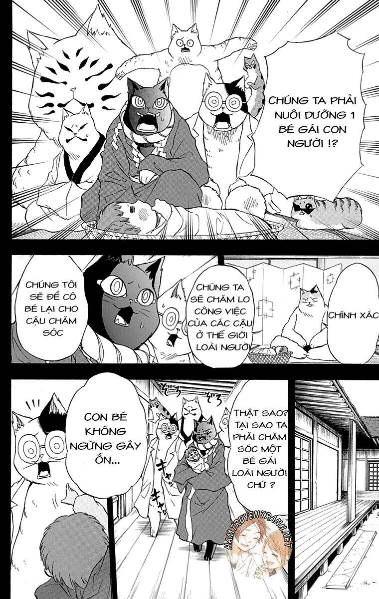 Nekowappa! Chapter 12 - 15