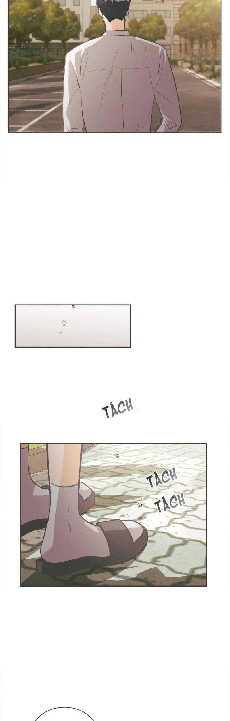 Giấc Mộng Đêm Hè Chapter 6 - 26