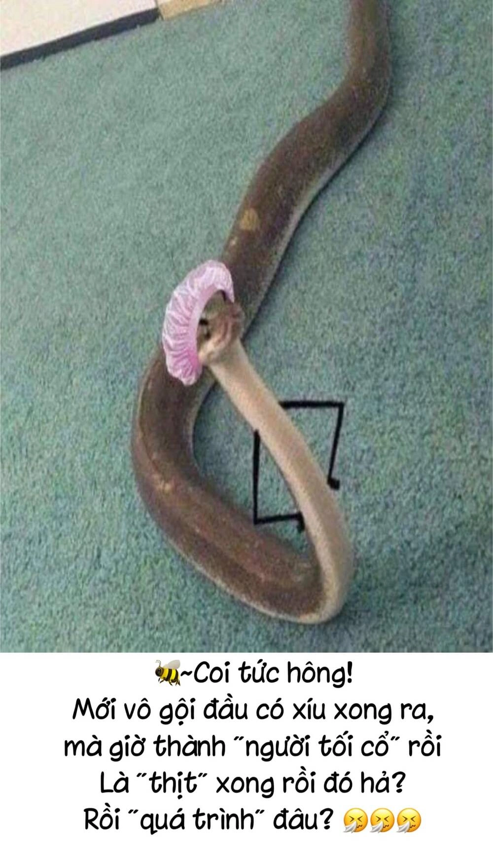 Xuyên Không Trở Thành Mami Phản Diện Chapter 46 - 54