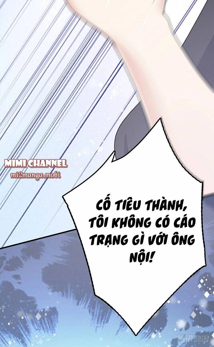 Bà Xã Quyến Rũ Trí Mạng: Tổng Tài Muốn Tái Hôn Chapter 2 - 5