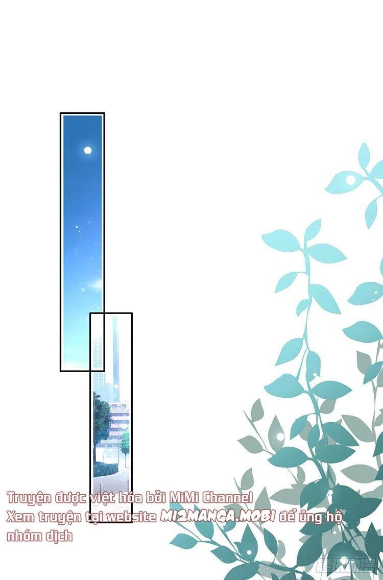 Bà Xã Quyến Rũ Trí Mạng: Tổng Tài Muốn Tái Hôn Chapter 4 - 1