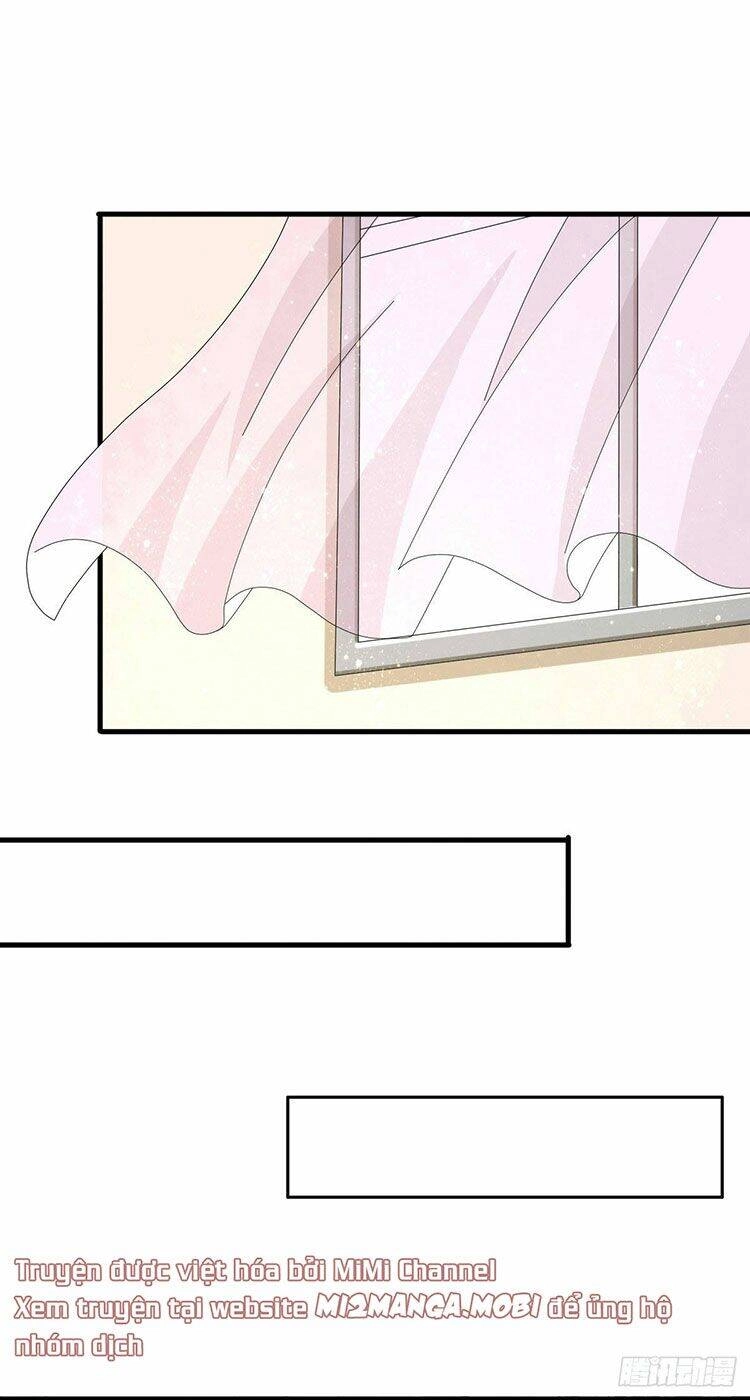 Bà Xã Quyến Rũ Trí Mạng: Tổng Tài Muốn Tái Hôn Chapter 6 - 1