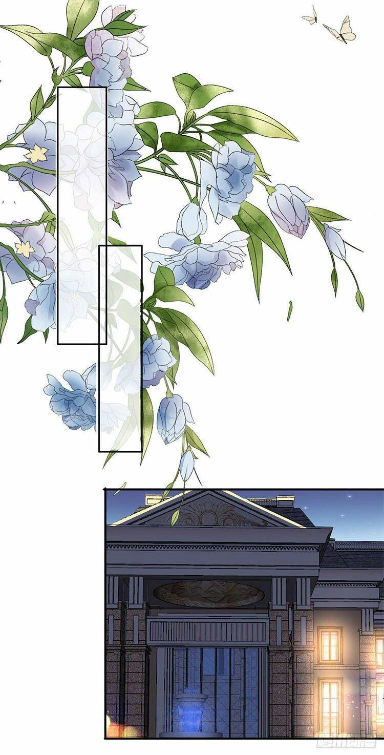 Bà Xã Quyến Rũ Trí Mạng: Tổng Tài Muốn Tái Hôn Chapter 17 - 12