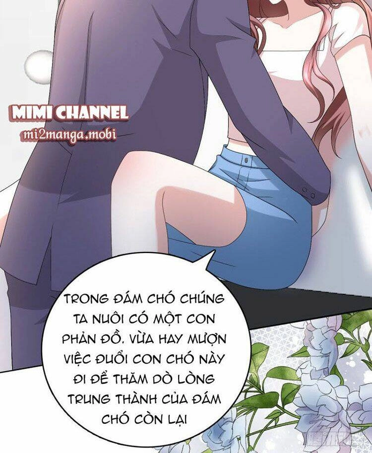 Bà Xã Quyến Rũ Trí Mạng: Tổng Tài Muốn Tái Hôn Chapter 33 - 5