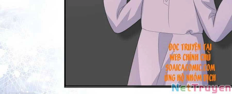 Bà Xã Quyến Rũ Trí Mạng: Tổng Tài Muốn Tái Hôn Chapter 111 - 7