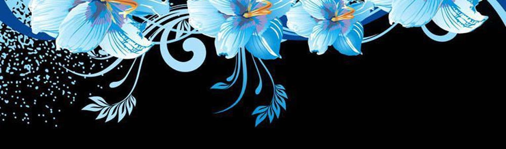 Saotome Girl, Hitakakusu Chapter 14 - 18