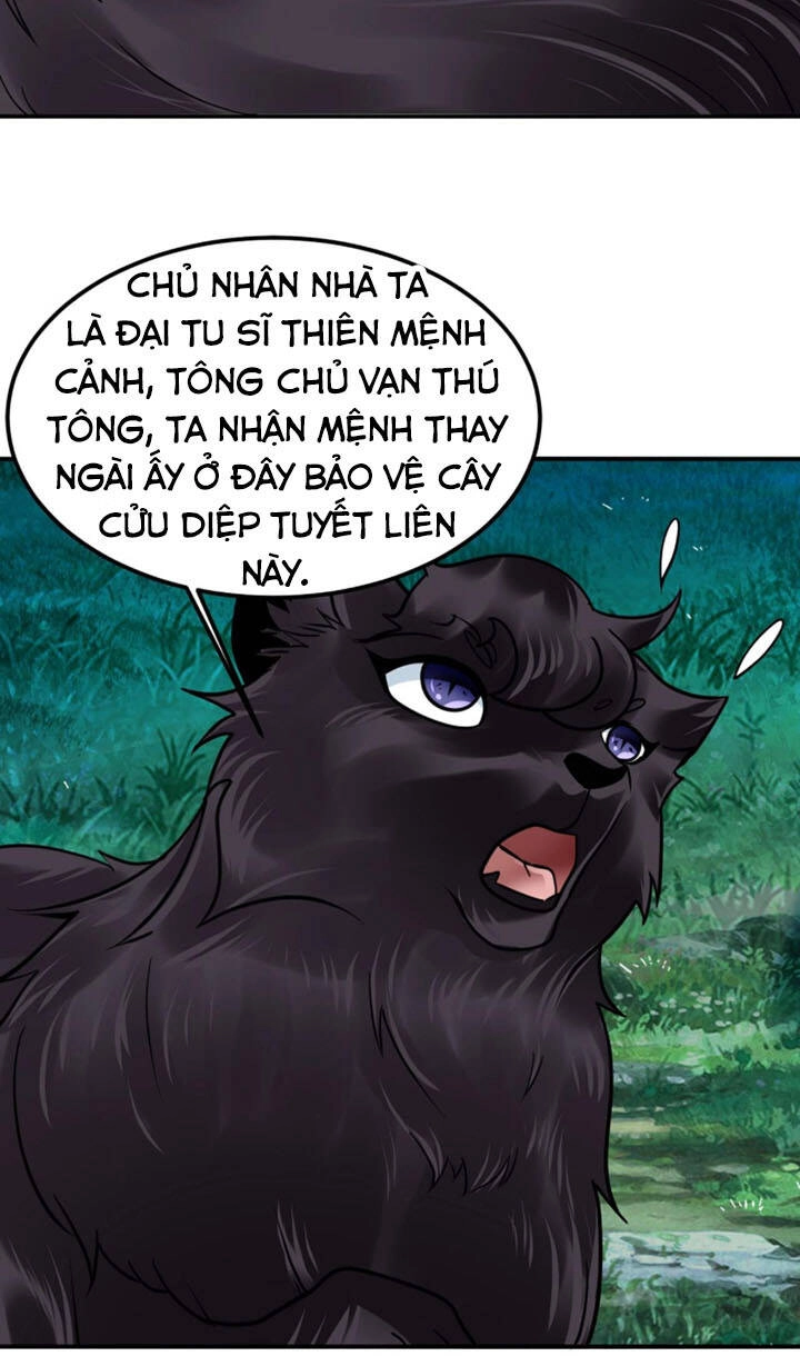 Sư Tổ Của Ta Là Thiên Hạ Đệ Nhất Chapter 19 - 40