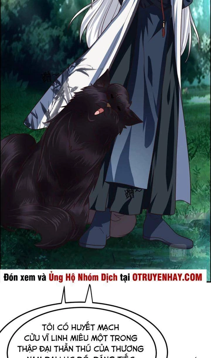 Sư Tổ Của Ta Là Thiên Hạ Đệ Nhất Chapter 20 - 36