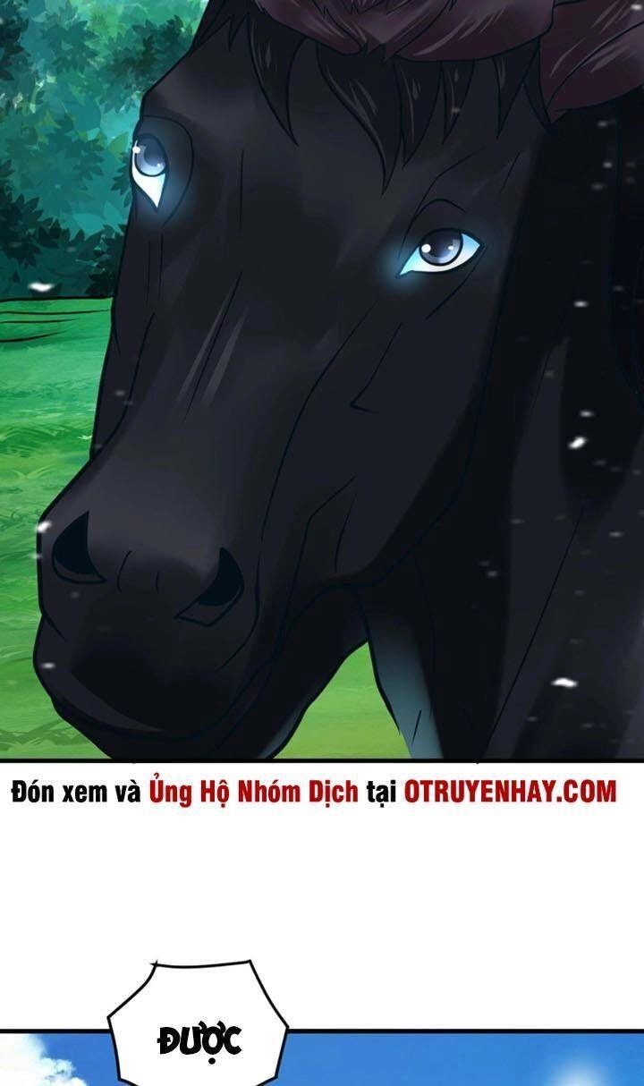 Sư Tổ Của Ta Là Thiên Hạ Đệ Nhất Chapter 20 - 61