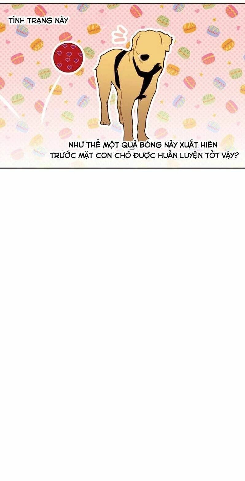 Cuộc Sống Rập Khuôn Của Một Quý Cô Tái Sinh! Chapter 14 - 66