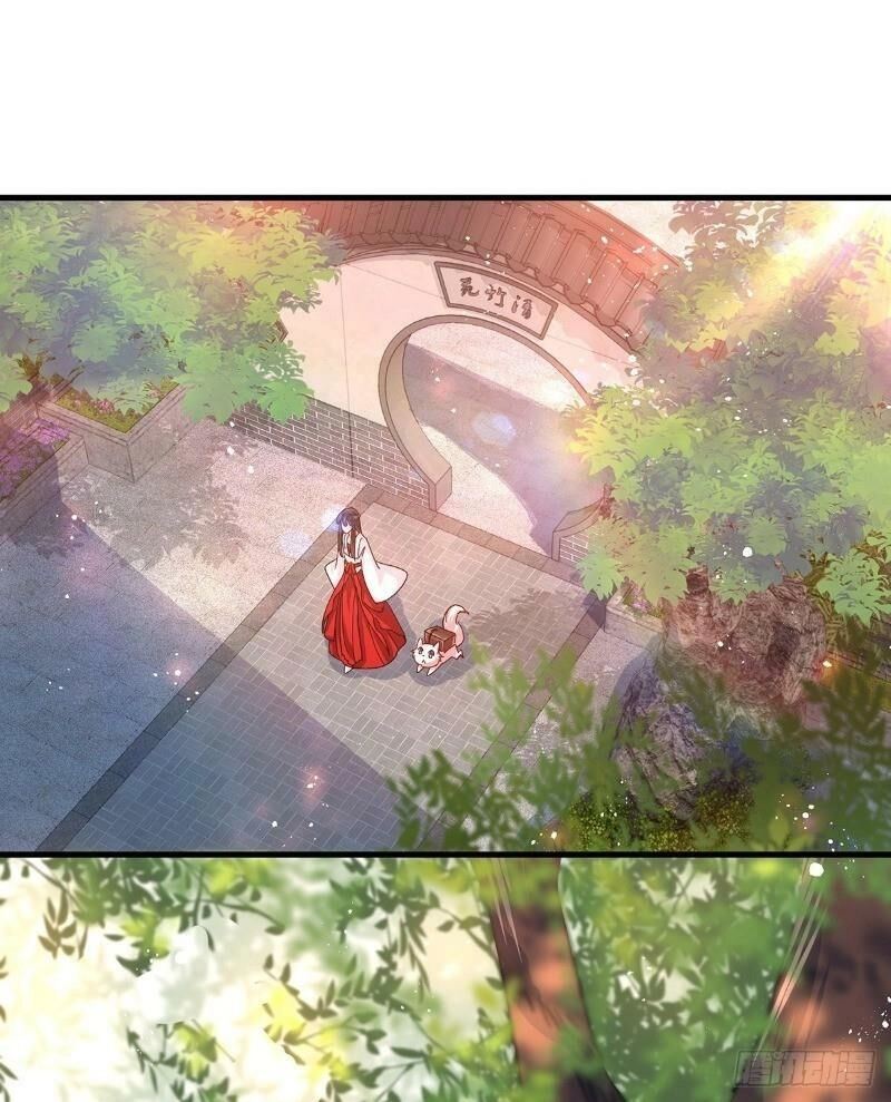 Ta Ở Dị Giới Nuôi Dưỡng Nam Thần: Thần Y Cửu Tiểu Thư Chapter 17 - 22