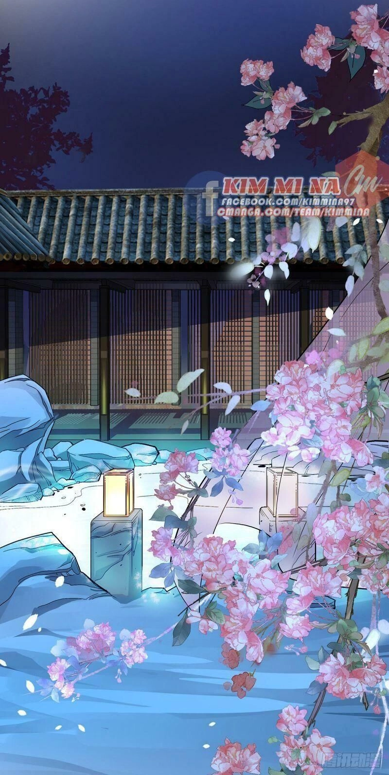 Ta Ở Dị Giới Nuôi Dưỡng Nam Thần: Thần Y Cửu Tiểu Thư Chapter 33 - 2