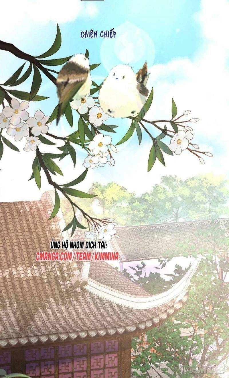 Ta Ở Dị Giới Nuôi Dưỡng Nam Thần: Thần Y Cửu Tiểu Thư Chapter 81 - 3