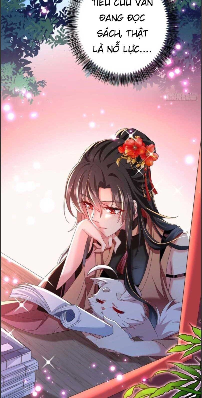 Ta Ở Dị Giới Nuôi Dưỡng Nam Thần: Thần Y Cửu Tiểu Thư Chapter 95 - 17