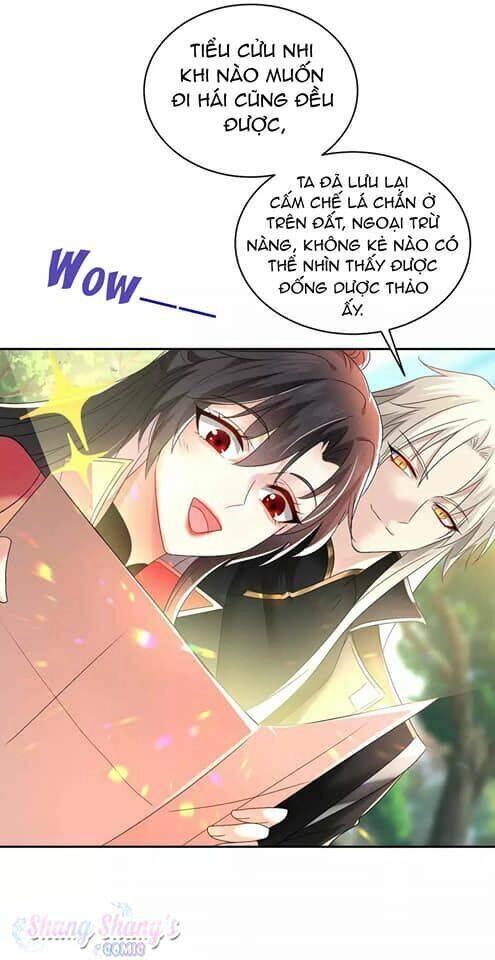 Ta Ở Dị Giới Nuôi Dưỡng Nam Thần: Thần Y Cửu Tiểu Thư Chapter 128 - 29