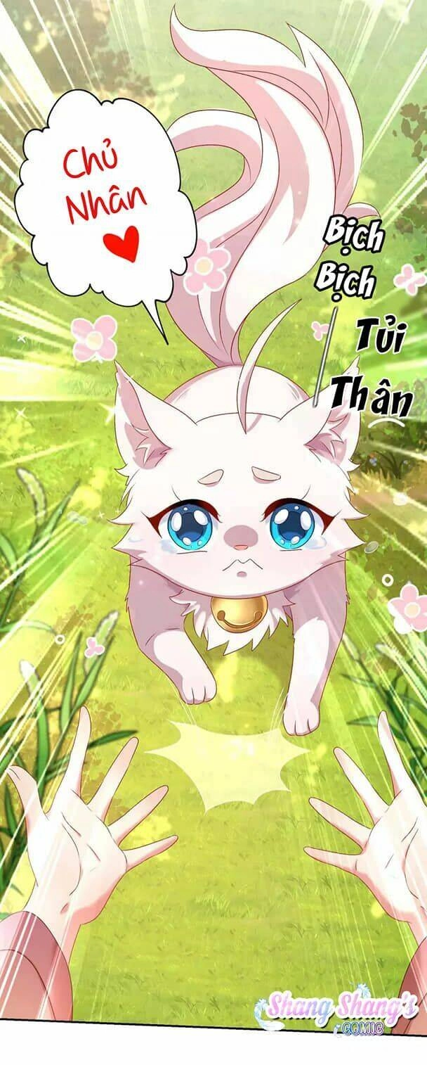 Ta Ở Dị Giới Nuôi Dưỡng Nam Thần: Thần Y Cửu Tiểu Thư Chapter 130 - 24