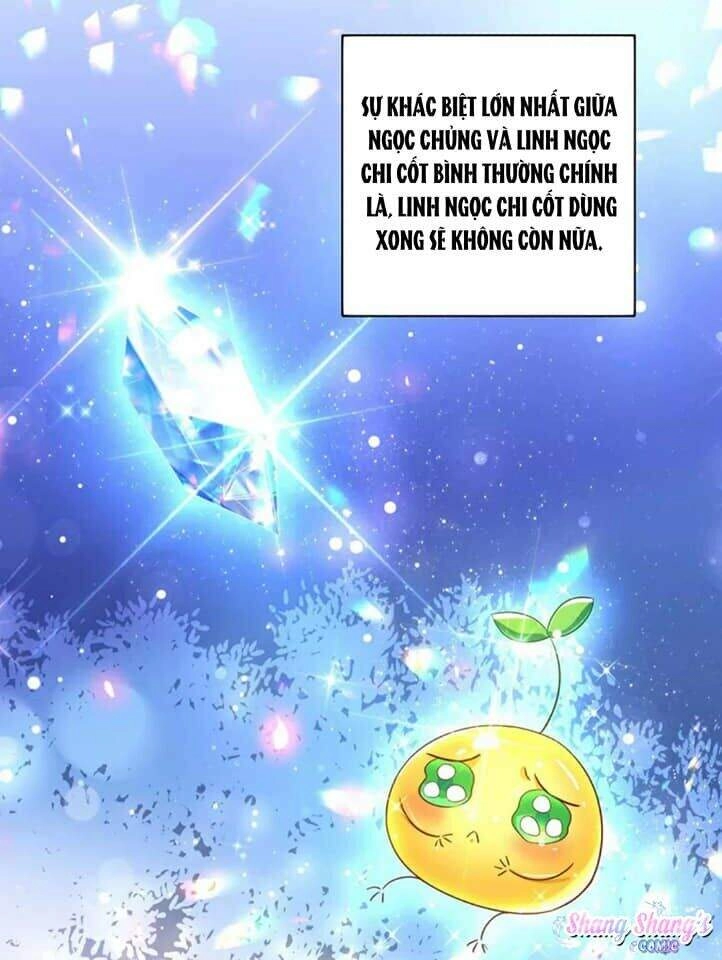 Ta Ở Dị Giới Nuôi Dưỡng Nam Thần: Thần Y Cửu Tiểu Thư Chapter 136 - 28