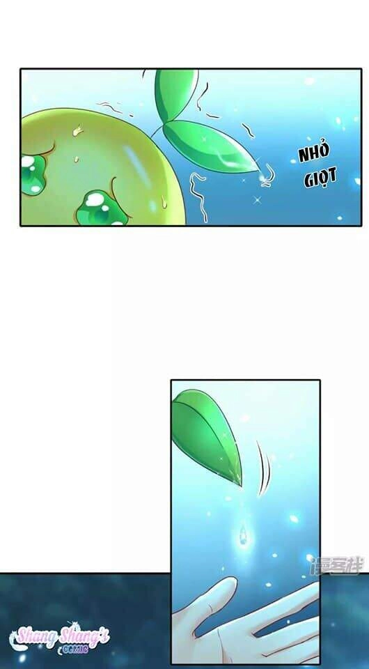 Ta Ở Dị Giới Nuôi Dưỡng Nam Thần: Thần Y Cửu Tiểu Thư Chapter 136 - 32