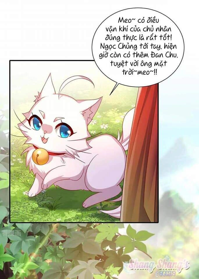 Ta Ở Dị Giới Nuôi Dưỡng Nam Thần: Thần Y Cửu Tiểu Thư Chapter 140 - 25