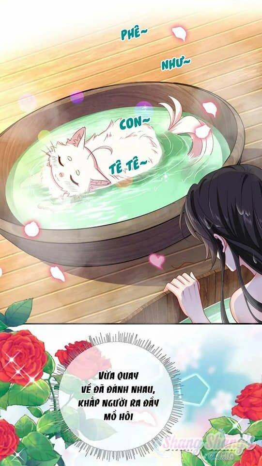 Ta Ở Dị Giới Nuôi Dưỡng Nam Thần: Thần Y Cửu Tiểu Thư Chapter 151 - 4