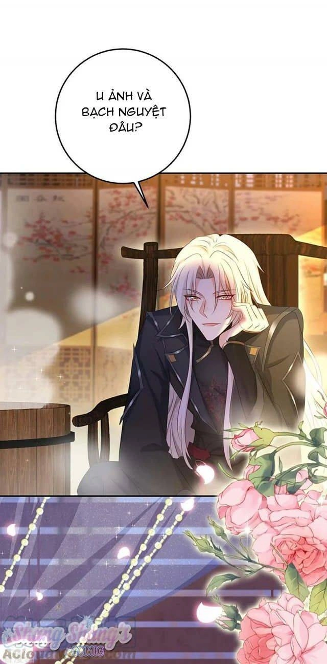 Ta Ở Dị Giới Nuôi Dưỡng Nam Thần: Thần Y Cửu Tiểu Thư Chapter 151 - 11