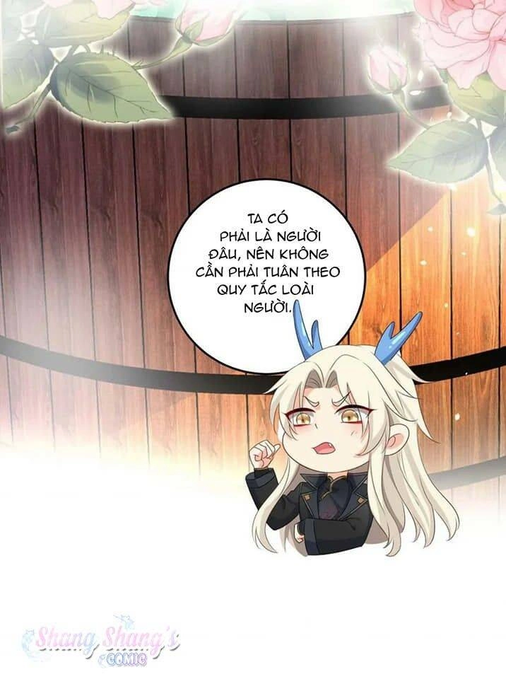 Ta Ở Dị Giới Nuôi Dưỡng Nam Thần: Thần Y Cửu Tiểu Thư Chapter 151 - 25