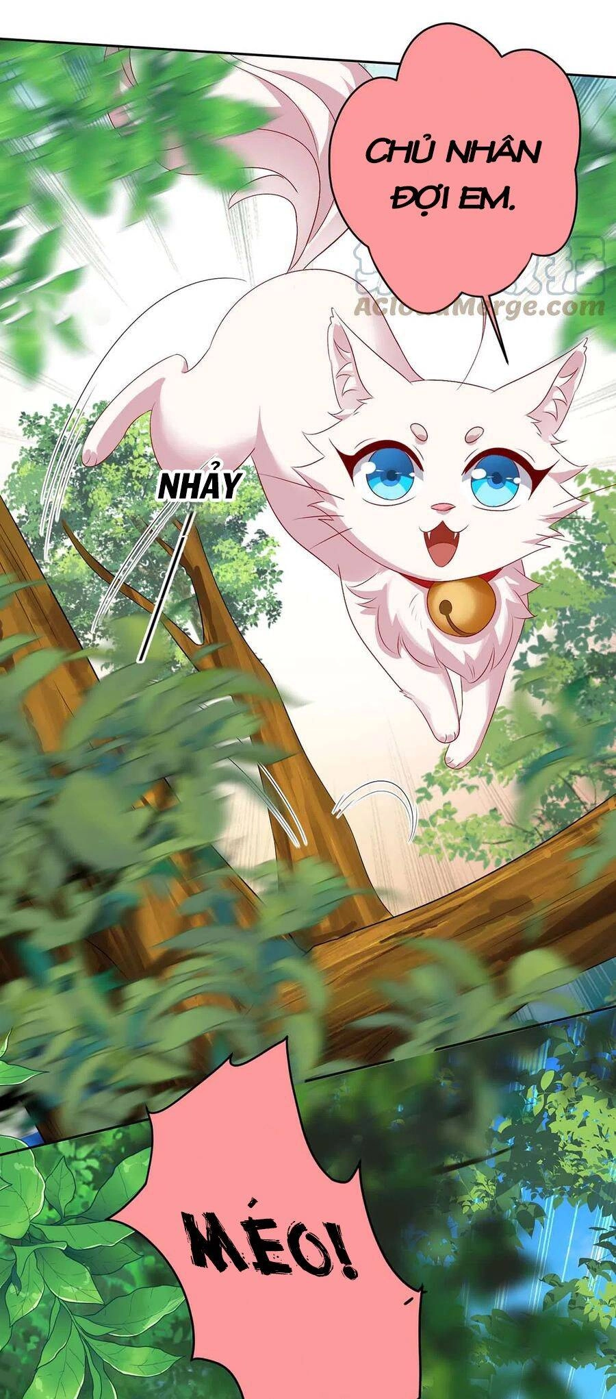 Ta Ở Dị Giới Nuôi Dưỡng Nam Thần: Thần Y Cửu Tiểu Thư Chapter 156 - 5