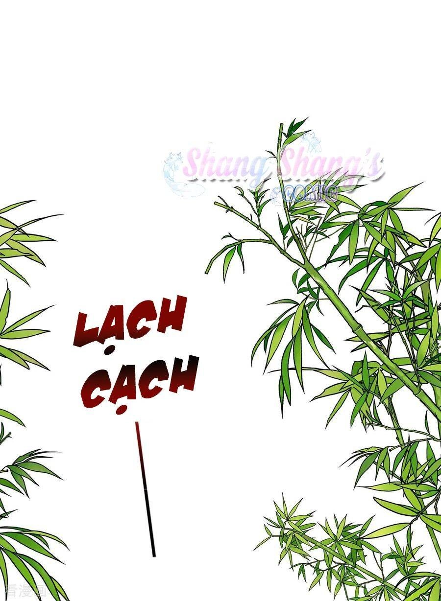 Ta Ở Dị Giới Nuôi Dưỡng Nam Thần: Thần Y Cửu Tiểu Thư Chapter 179 - 16