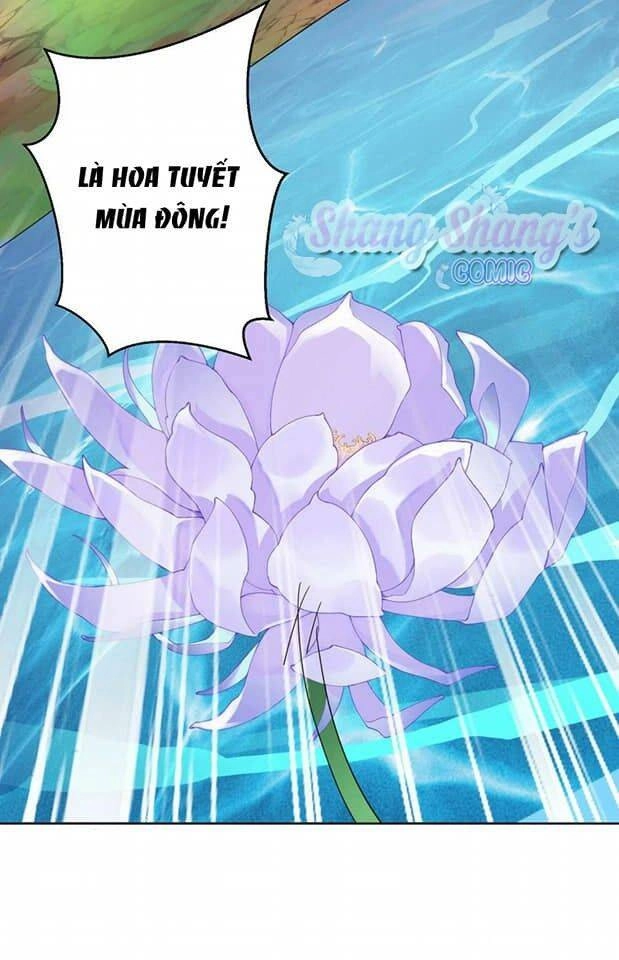 Ta Ở Dị Giới Nuôi Dưỡng Nam Thần: Thần Y Cửu Tiểu Thư Chapter 203 - 30