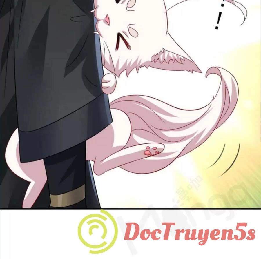 Ta Ở Dị Giới Nuôi Dưỡng Nam Thần: Thần Y Cửu Tiểu Thư Chapter 241 - 22