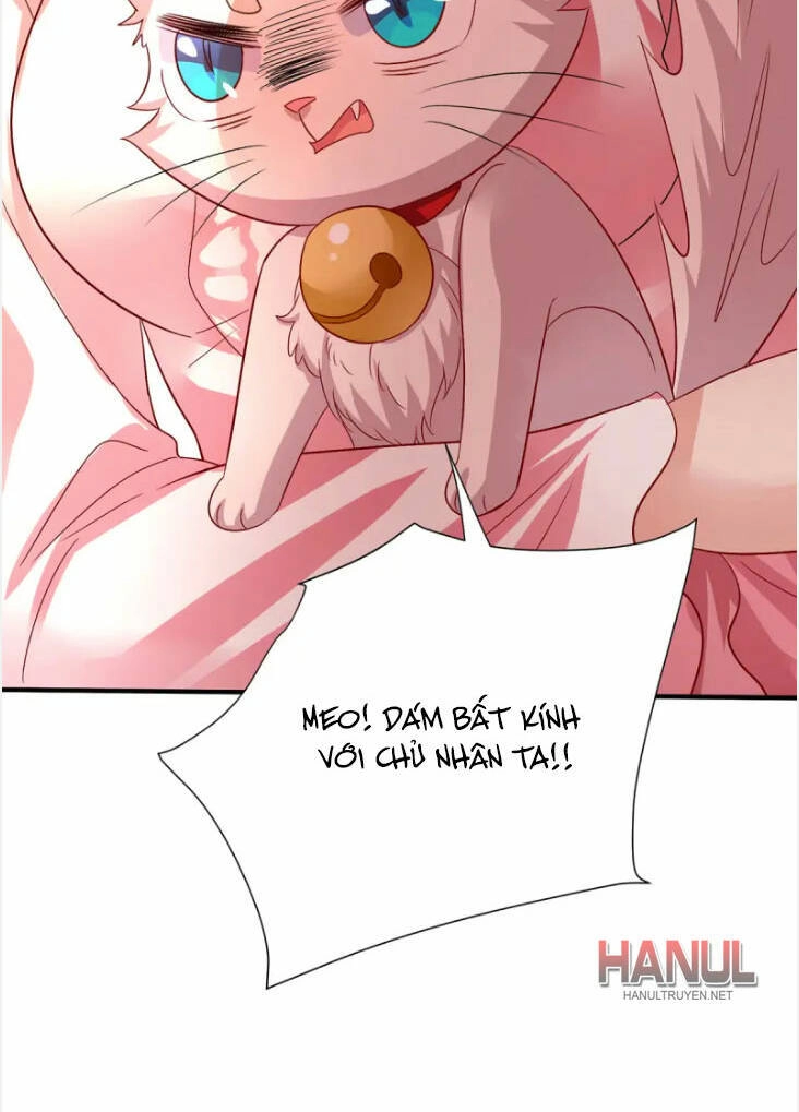 Ta Ở Dị Giới Nuôi Dưỡng Nam Thần: Thần Y Cửu Tiểu Thư Chapter 254 - 19