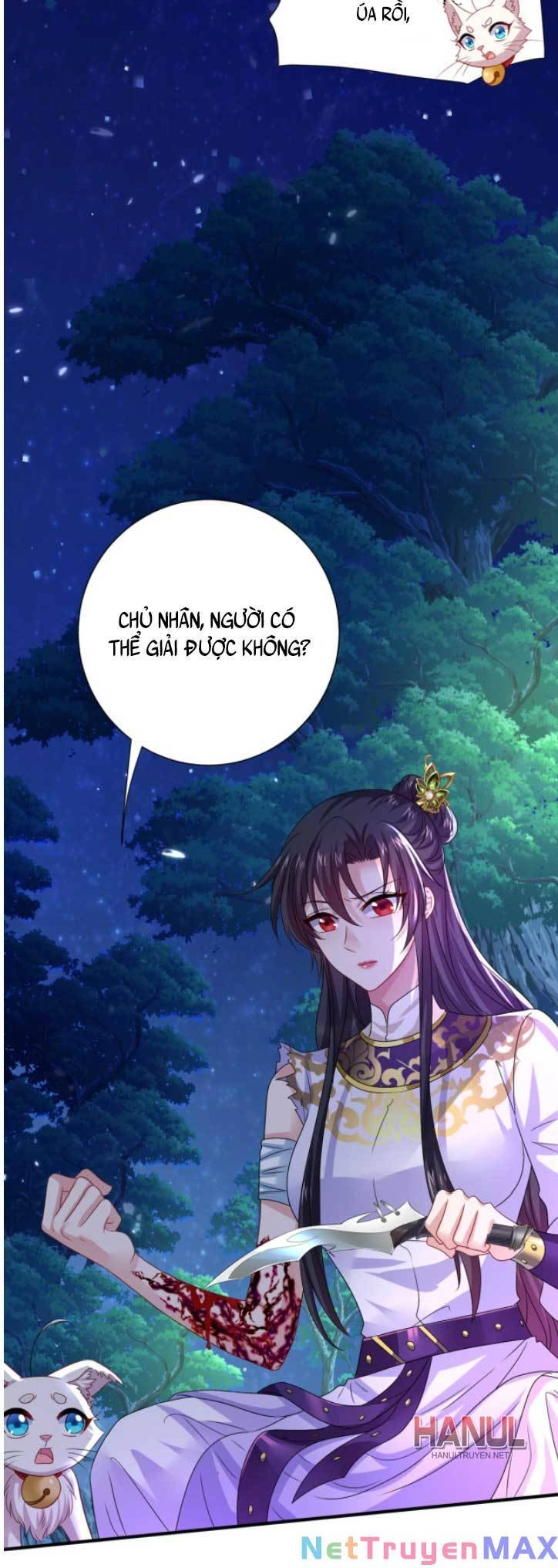 Ta Ở Dị Giới Nuôi Dưỡng Nam Thần: Thần Y Cửu Tiểu Thư Chapter 270 - 28