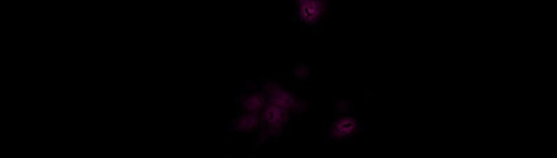 Anh Hùng Rác Rưởi Chapter 41 - 10