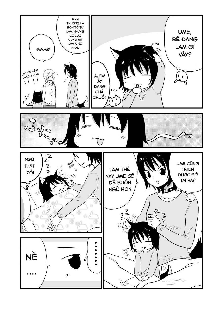 Cô Bé Quàng Khăn Đỏ Thịt Sói Chapter 6 - 2