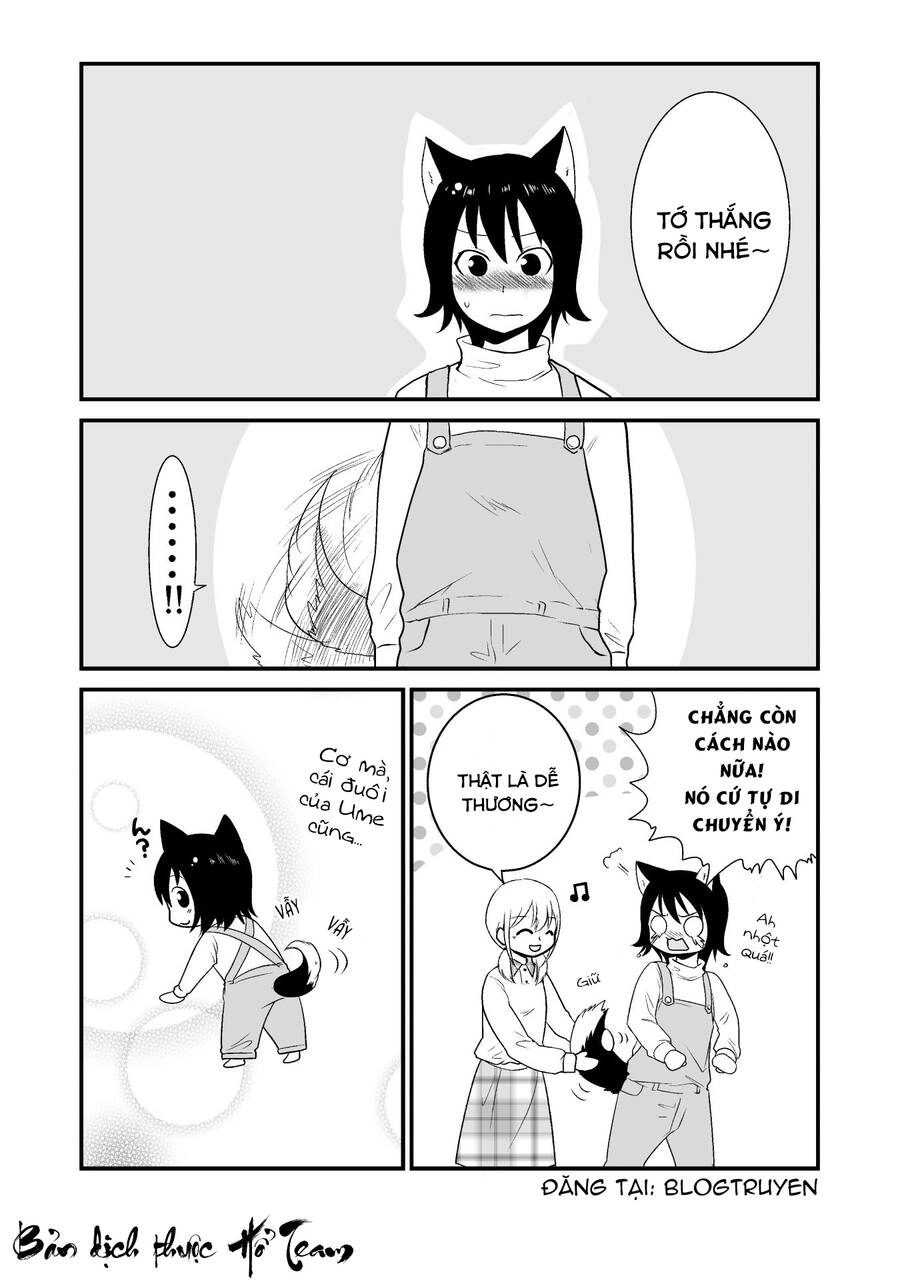 Cô Bé Quàng Khăn Đỏ Thịt Sói Chapter 10 - 8