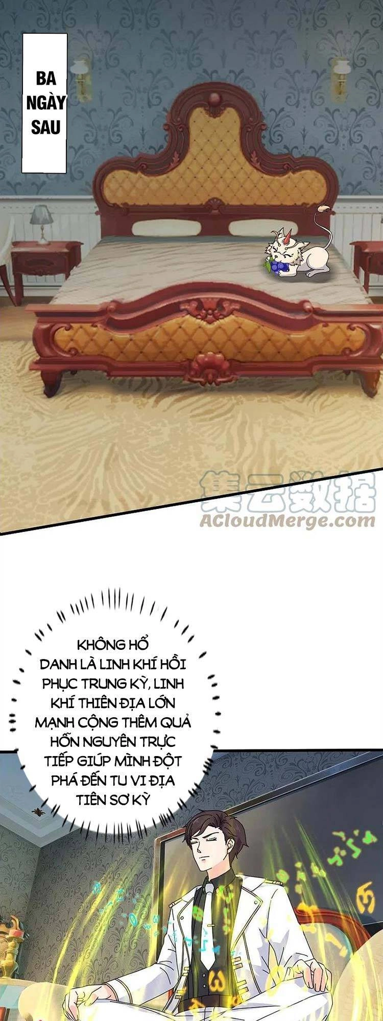 Vạn Cổ Thần Vương Chapter 384 - 12