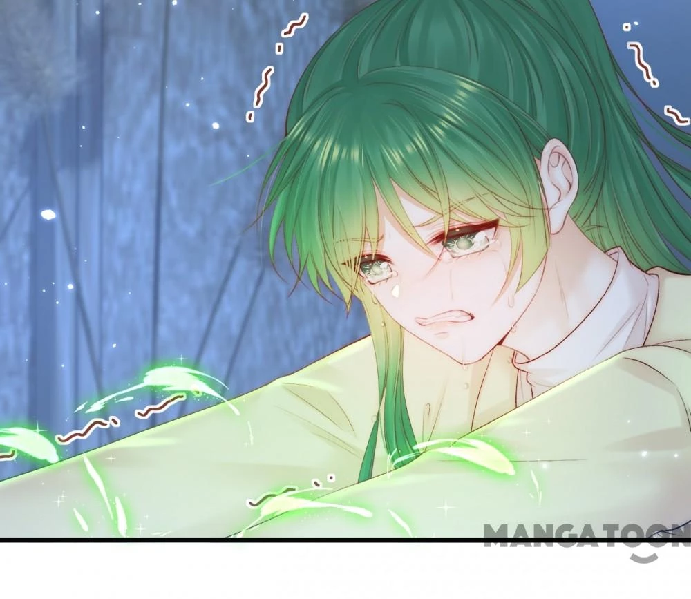 Triều Tây, Con Thích Chú Chapter  114 - 38