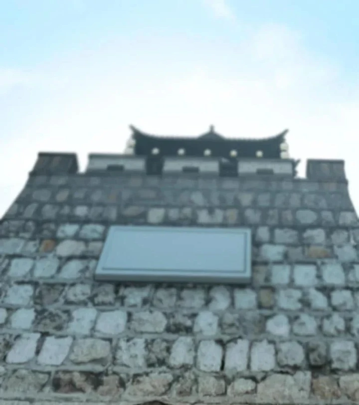 Toàn Dân Chuyển Chức : Duy Ta Vô Chức Tán Nhân Chapter 215 - 25