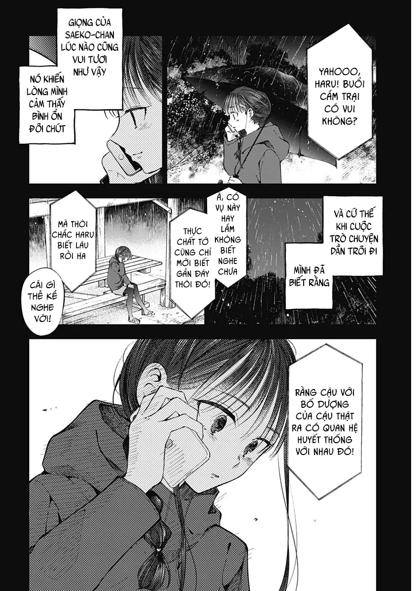 Seinen Shoyo Yo, Haru Wo Musabore Chapter 45 - 13