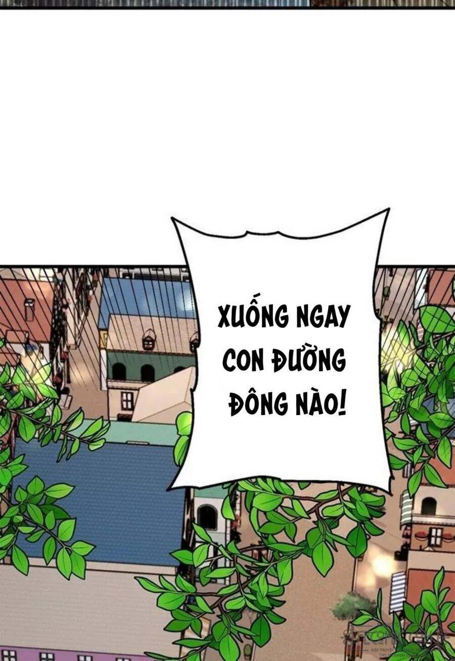 Những Người Anh Nguy Hiểm Của Công Nương Chapter 13 - 19